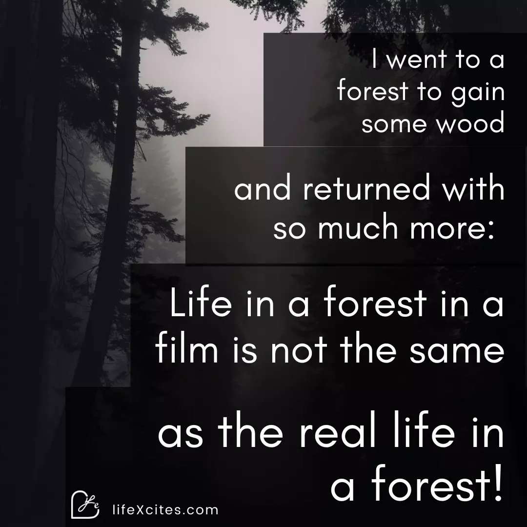 Life Quotes on forest