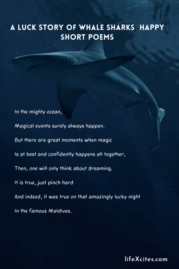 A Luck Story of Whale Sharks – Happy Short Poems