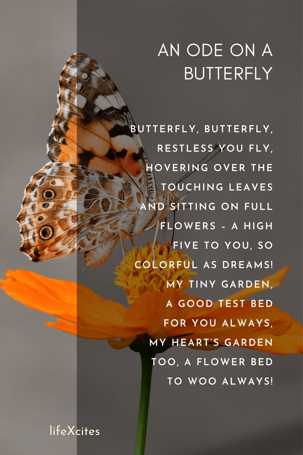 Beautiful Ode Poem Examples to Dream Of