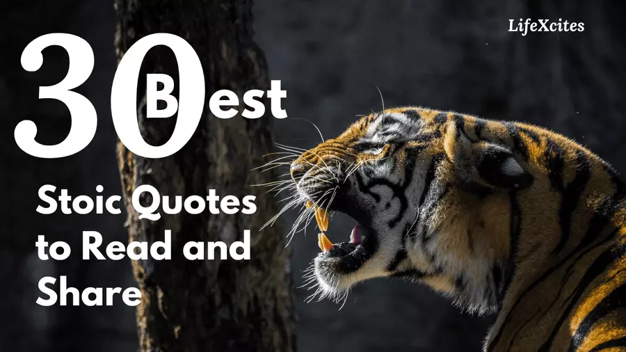 Best 30 Stoic Quotes to Read and Share