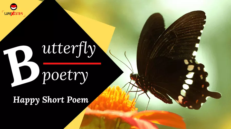 Happy Birthday Butterfly: Happy Short Poems