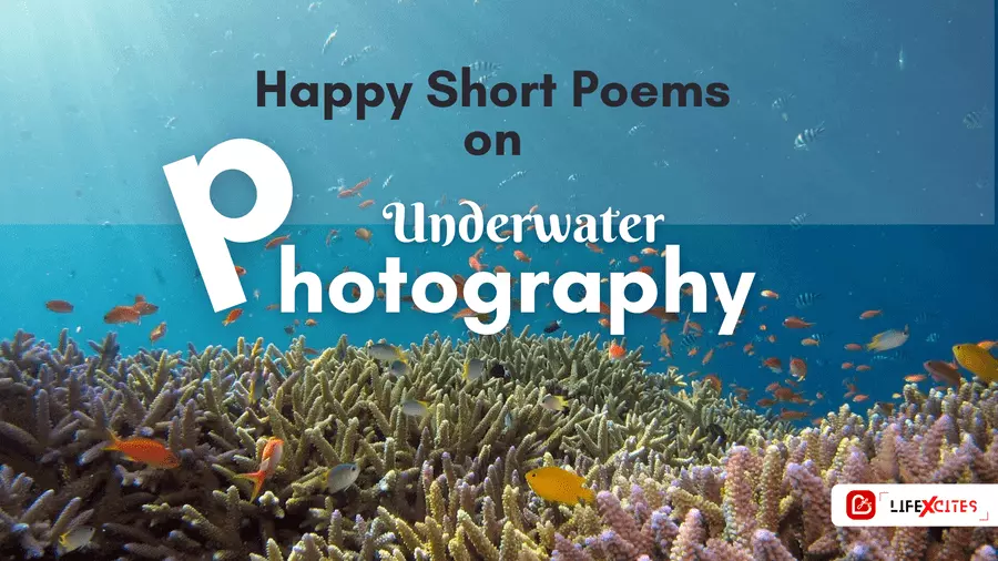 Happy Short Poems on Underwater Photography