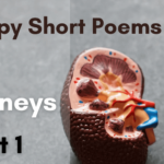happy short poems kidney day