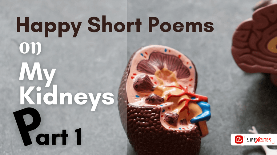 happy short poems kidney day