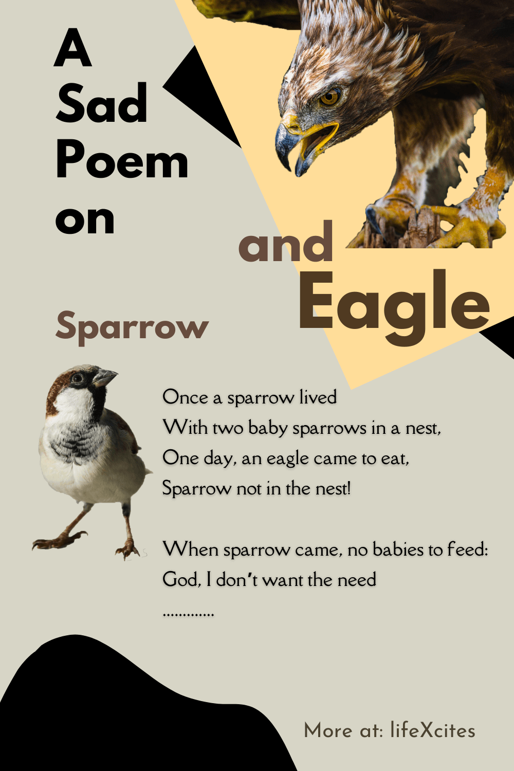 A Sad Poem on Sparrow and Eagle