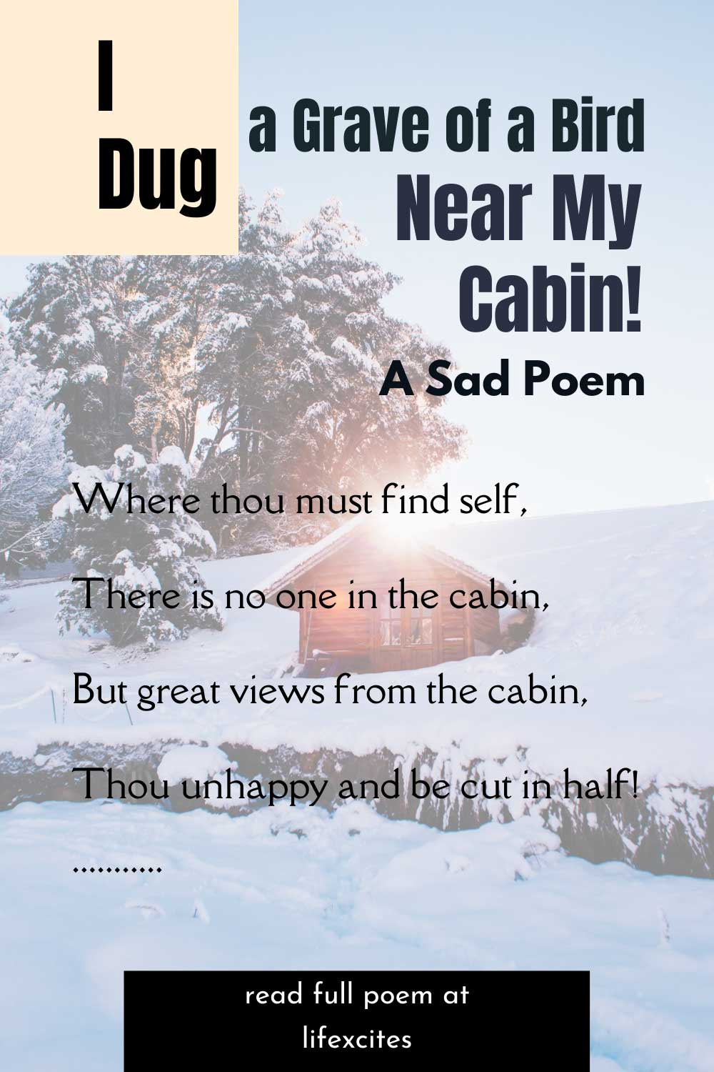 I Dug a Grave of a Bird Near My Cabin! – A Sad Poem