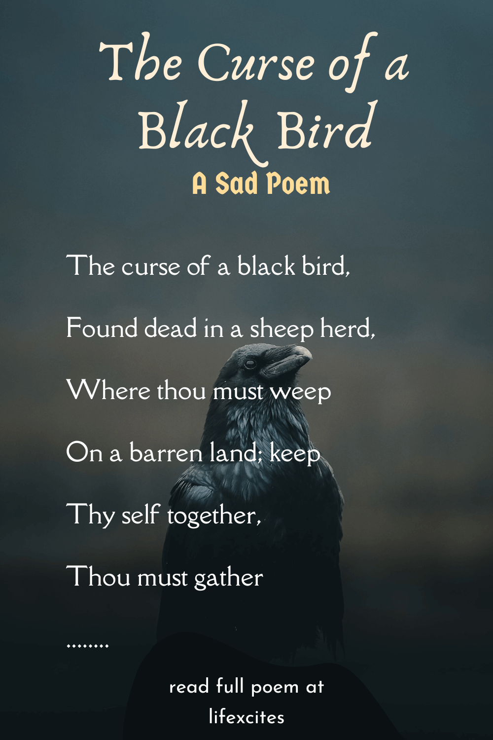 The Curse of a Black Bird: A Sad Poem – Lifexcites