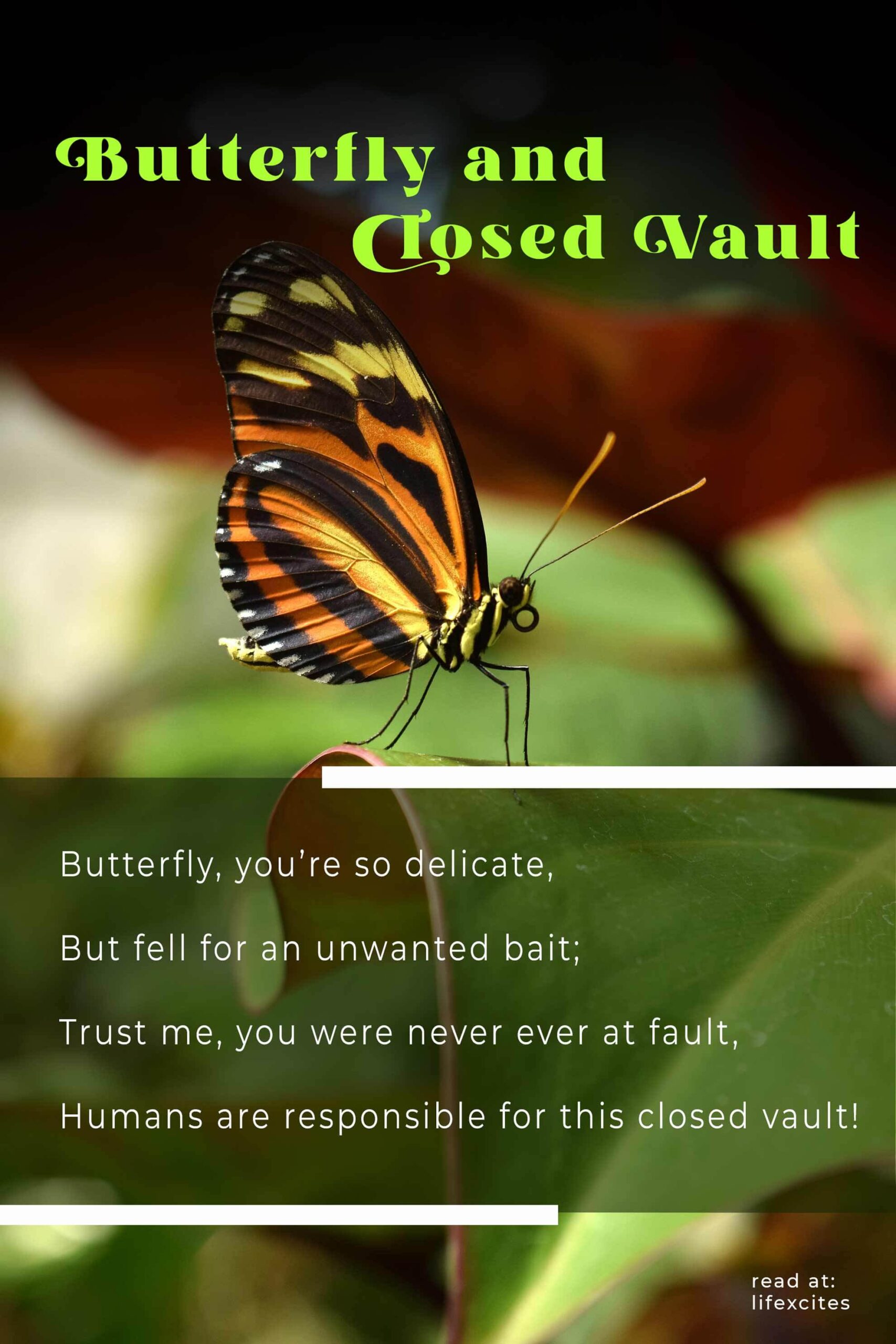 Butterfly-and-Closed-Vault-Happy-Poems1