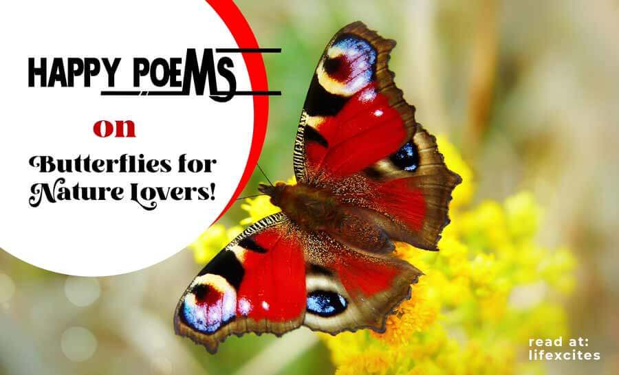 Happy-Poems-on-Butterflies-for-Nature-Lovers1